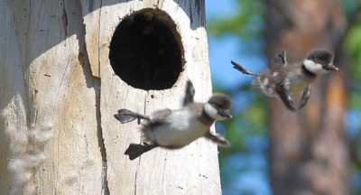 20 обалденных фотографий, в которые трудно поверить