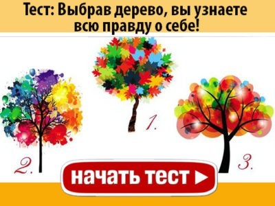 Самый точный личностный тест