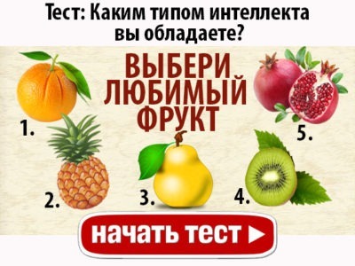 Каким типом интеллекта вы обладаете?