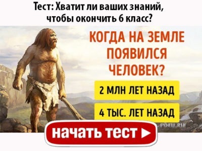 Хватит ли ваших знаний, чтобы окончить 6 класс?