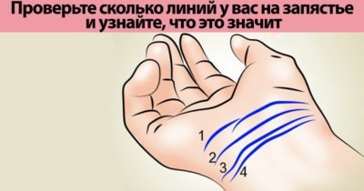 Сколько линий у вас на запястье? 3 или 4? Проверьте и узнайте, что это значит