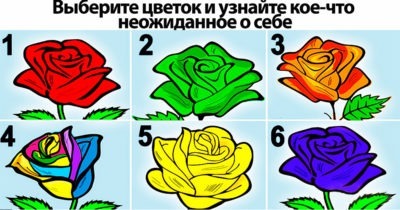 Выберите цветок и узнайте кое-что неожиданное о себе