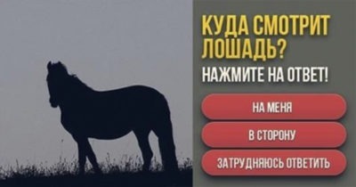 Выбери направление, куда смотрит лошадь и читай результат!