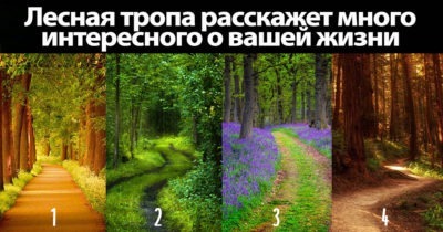 Лесная тропа расскажет много интересного о вашей жизни и о том, как вы справляетесь с трудностями