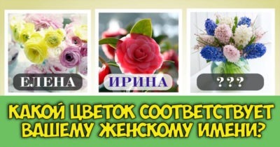 Какой цветок соответствует вашему имени?