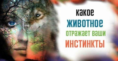 Тест. Какое животное отражает ваши инстинкты