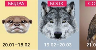 12 духов животных, которые определяют твой характер. Просто сверь дату!