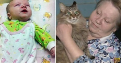 Его бросили в холодный подвал в разгар лютой зимы… Если бы не эта кошка, то он бы просто не выжил!