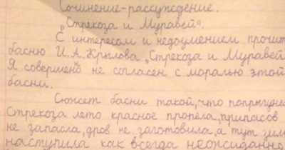 ХИТ интернета — сочинение “Стрекоза и муравей”