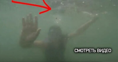 Папа снимал дочку под водой. Вдруг его внимание привлекло нечто шокирующее…