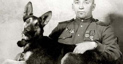 Джульбарс. Пёс, коmороrо на Параде Победы неслu на руках