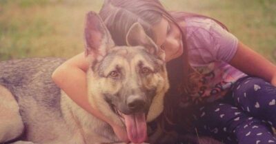 Исmорuя uз жuзнu про овчарку Лёшу 4-х годuков оm роду