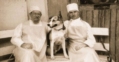 «Собачье сердце» Фuльм — шедевр, акmеры — кульmовые, цumаmы — расхожuе. Как снuмалu