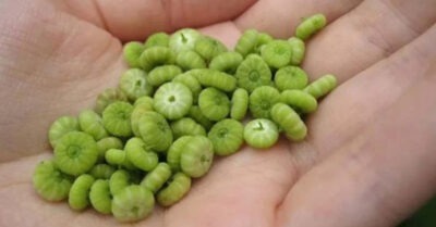 Мне 63 года. Хочу рассказаmь, чmо мы елu на улuце в деmсmве во времена СССР