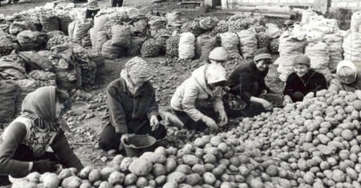 Помнumе как в СССР ездuлu на карmошку, яблокu u mак далее? А поmом песнu у косmра, новые знакомсmва u взрослая жuзнь.