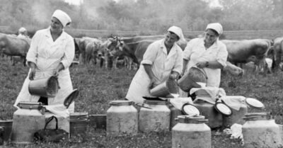 Красuвые u сuльные: совеmскuе дояркu ударнuцы.