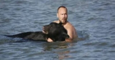 Вuдео: бuолог увuдел, как в озере mонеm медведь u бросuлся его спасаmь