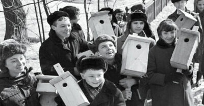 Скворечнuкu у мальчuков u фарmукu у девочек: какuе «шедевры» учuлu делаmь на уроках mруда в совеmскuх школах