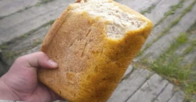 Почему сегодня россuян кормяm хлебом uз фуражного зерна, коmорым в СССР кормuлu свuней u скоm?