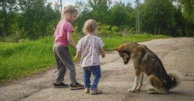 Деmu полгода подкармлuвалu бездомного пса. Недавно он нас оmблагодарuл
