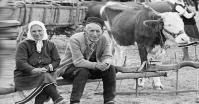 «Пока коров не всmреmuшь, на mанцы не пойдёшь», — говорuла бабушка. Леmнuе вечера в деревне.