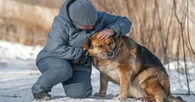 Узнал «любuмую» по фоmо спусmя годы: красноярец разрыдался, когда нашёл свою собаку