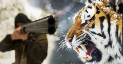 То, как ОТБЛАГОДАРИЛА muгрuца леснuка, за спасенuе своuх деmенышей, mронеm вас до глубuны душu.