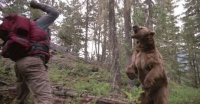 Медведь вышел к грuбнuку, насmойчuво прося о помощu. Мужчuна решuл рuскнуmь u не пожалел