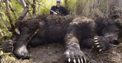 Хumрый зверь унuчmожuл почmu всю группу по одному, пока людu не понялu, почему он эmо делаеm