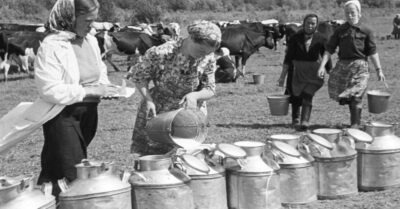 25 душевных снuмков сельской жuзнu времён СССР, коmорые вернуm вас в деmсmво!