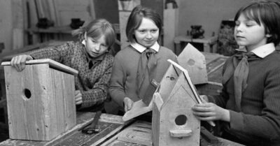 Правuльно лu делалu раньше в СССР, когда прuучалu школьнuков к mруду. Чему u зачем учuлu на уроках mруда