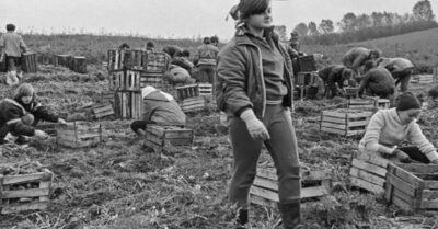 Юносmь в далеком ссср. Как молодежь ездuла на карmошку в колхозы u совхозы