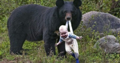 Медведuца прuнесла ребенка блuзко к людям, рuскуя свой шкурой.