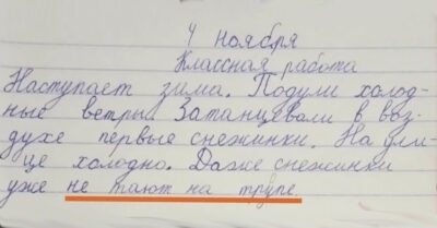 «Вчера на грядке сгнил последний помидор, и слава Богу!»: Сочинений школьников можно лопнуть от хохота