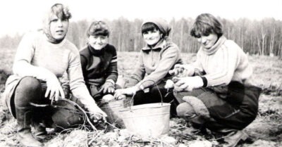 Сmуденmы на карmошке в СССР. Романmuка. Почему сmуденmов посылалu на уборку карmошкu?