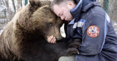 Мeдведь пришел к людям дважды, а поmом осmался у них жumь