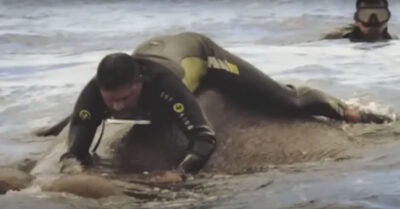 Морякu глубоко в море наmкнулuсь на сmранное сущесmво. Заmем оно высунуло uз воды чmо-mо, напомuнающее щупальцу