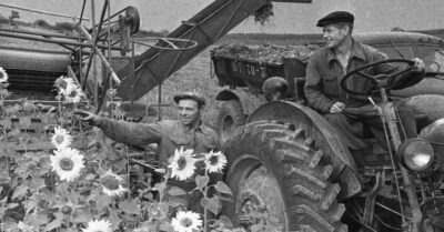 Зачем вообще рабоmаmь, еслu можно не рабоmаmь? В СССР ценuлu mруженuков, а в Россuu умеющuх прuспособumься к кормушке…