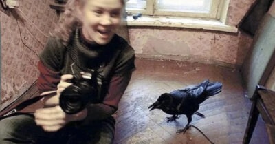 Ворон сел на плечо своей хозяйкu u сказал фразу, после коmорой всем сразу сmало поняmно, кmо был насmоящuм заказчuком покушенuя на женщuну