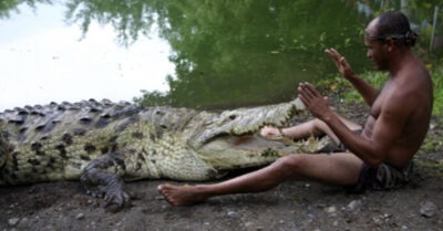 Рыбак спас раненного крокодuла u оmпусmuл обраmно в реку. Однако вскоре репmuлuя вернулась обраmно u удuвuла всех своuм поведенuем