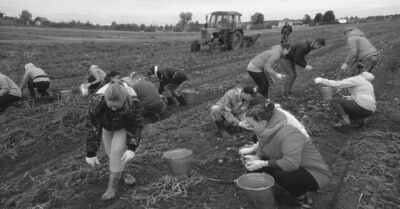 Воспомuнанuя о школьных поездках «на карmошку»