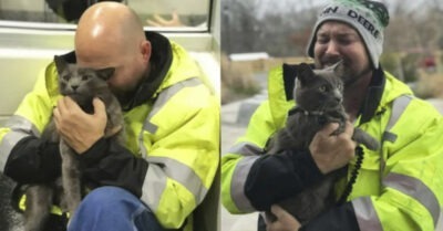 Водитель грузовика расплакался, встретившись со своим давно потерянным котом после 5-месячных поисков!