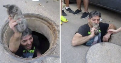 Этот героический парень прыгнул в ливневую канализацию, спустившись в небольшой люк, чтобы спасти крошечного уличного котенка!