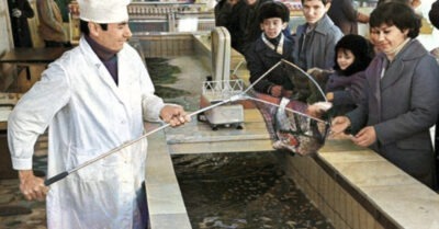 6 популярных и дешевых рыб из СССР, которые исчезли с прилавков