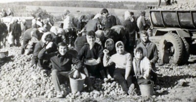 Кто помнит эти «чудные» сборы картошки в Советском Союзе? На них знакомились, встречались, смеялись, ругались и дружили