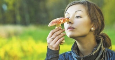 Последний ужин для мужа-тирана