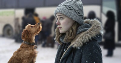 У девушки кольнуло сердечко — в собачьих глазах были человеческие эмоции