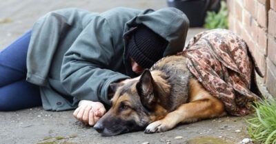 Бездомный обнял овчарку, и они уснули, а женщина шла назад по безлюдному парку, и глаза ее застилали слёзы. Перед ней стояла картина, как собака кормила своего человека. А потом напевала ему колыбельную