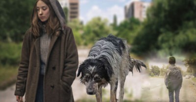 Хромой пёс три дня звал людей к заброшенному складу