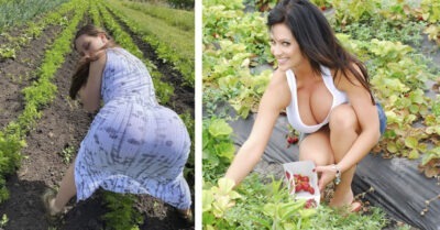 15 забавных дачных ситуаций, которые вызовут смех сквозь слезы: ирония, ностальгия и неповторимый дачный шарм